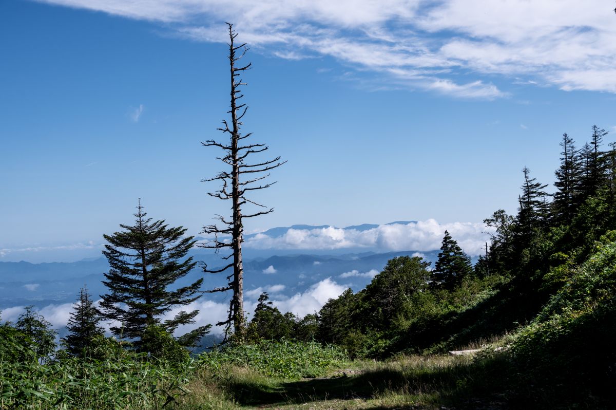 日本百名山　西吾妻山